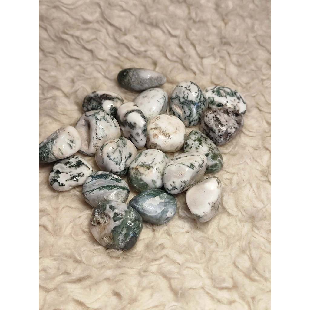 CHEFFY Tree Agate Crystal Gemstone ( MED )