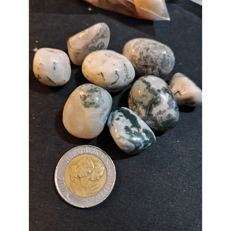 CHEFFY Tree Agate Crystal Gemstone ( Large )
