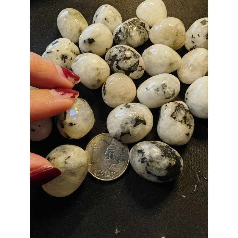 CHEFFY Moonstone Tumbled Medium Gemstones Crystals