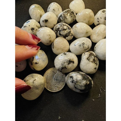 CHEFFY Moonstone Tumbled Medium Gemstones Crystals