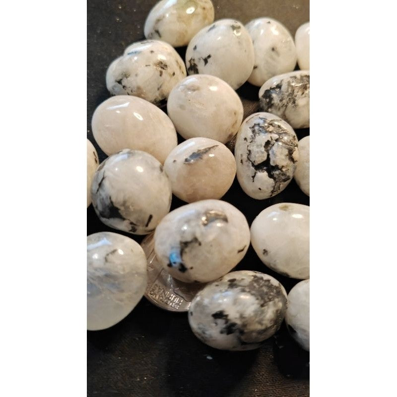 CHEFFY Moonstone Tumbled Medium Gemstones Crystals