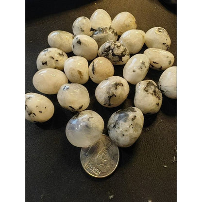 CHEFFY Moonstone Tumbled Medium Gemstones Crystals