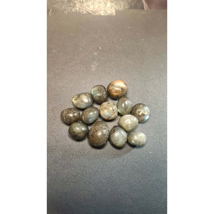 CHEFFY Labradorite Tumbled  Crystal Gemstones (M)