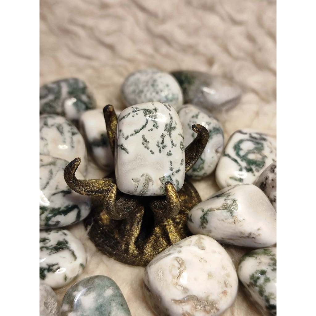 CHEFFY Tree Agate Crystal Gemstone ( MED )