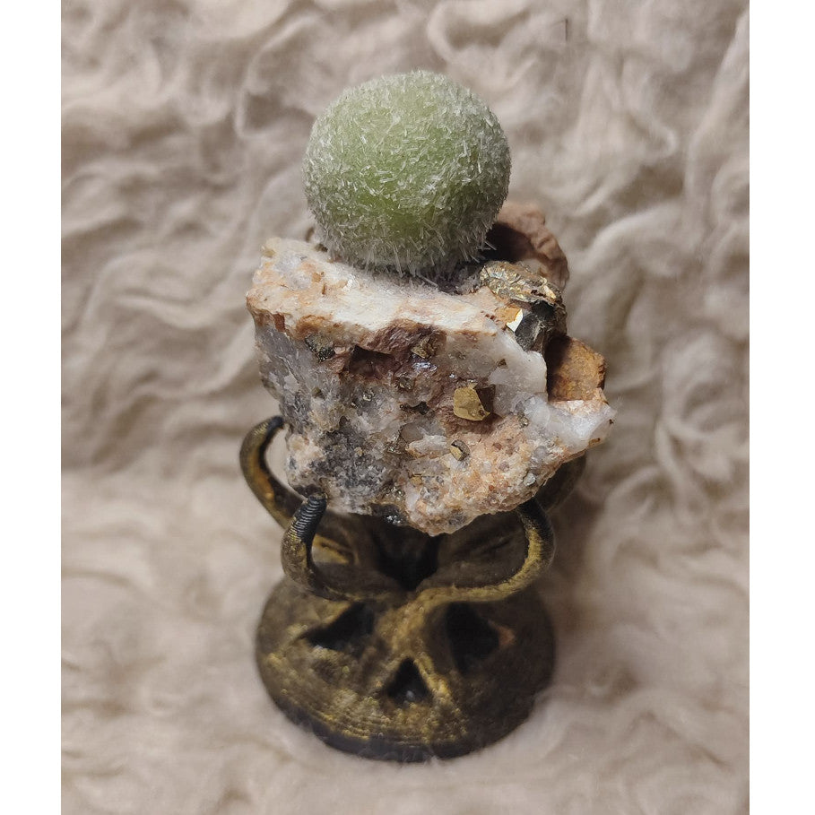 CHEFFY Rare Pyromorphite Specimen - Natural Crystal Cluster - Home Decor