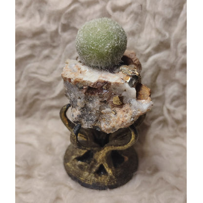 CHEFFY Rare Pyromorphite Specimen - Natural Crystal Cluster - Home Decor