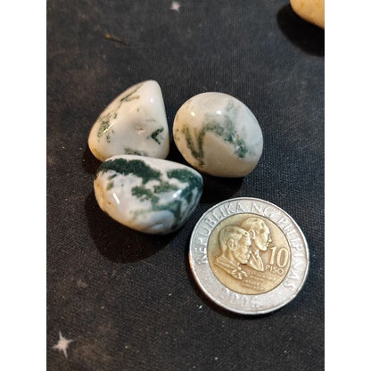 CHEFFY Tree Agate Crystal Gemstone ( Large )