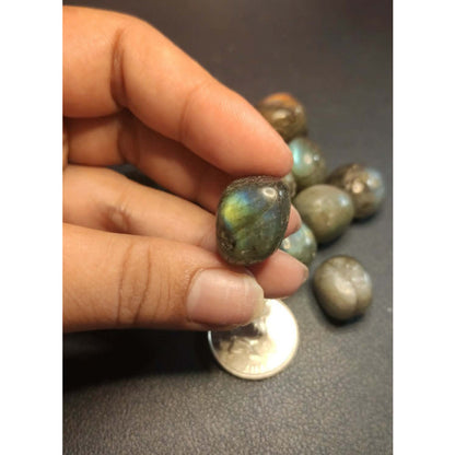 CHEFFY Labradorite Tumbled  Crystal Gemstones (M)