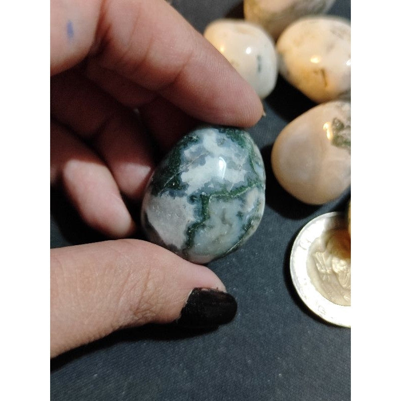 CHEFFY Tree Agate Crystal Gemstone ( Large )