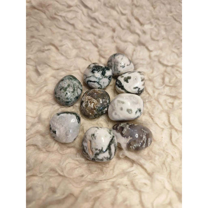 CHEFFY Tree Agate Crystal Gemstone ( Small )
