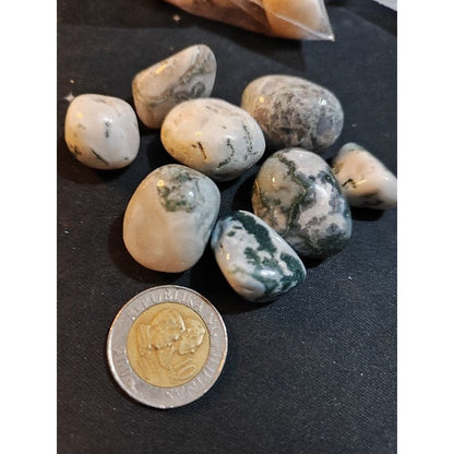 CHEFFY Tree Agate Crystal Gemstone ( Large )
