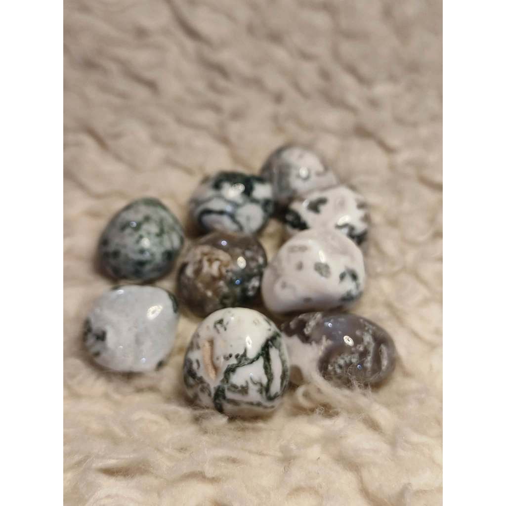 CHEFFY Tree Agate Crystal Gemstone ( Small )