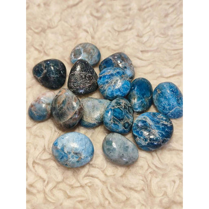 CHEFFY Blue Apatite Crystal Tumbled Gemstone (Med )