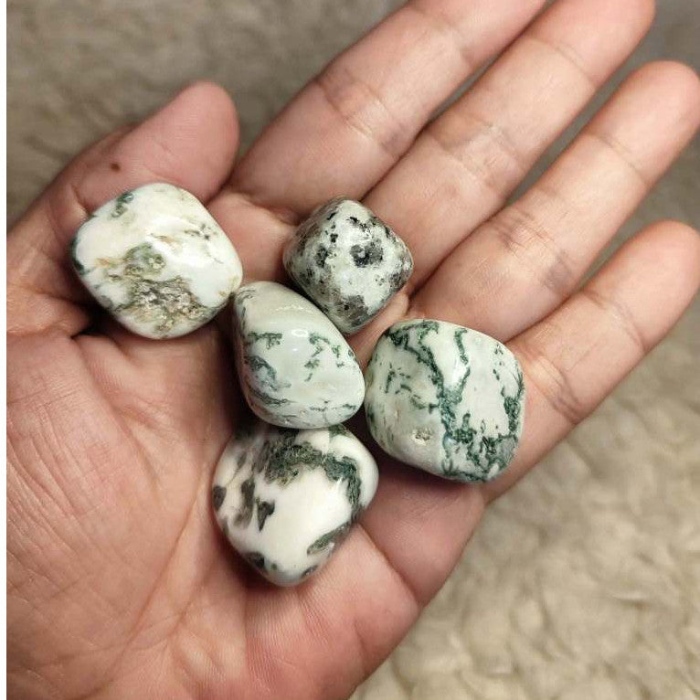 CHEFFY Tree Agate Crystal Gemstone ( MED )