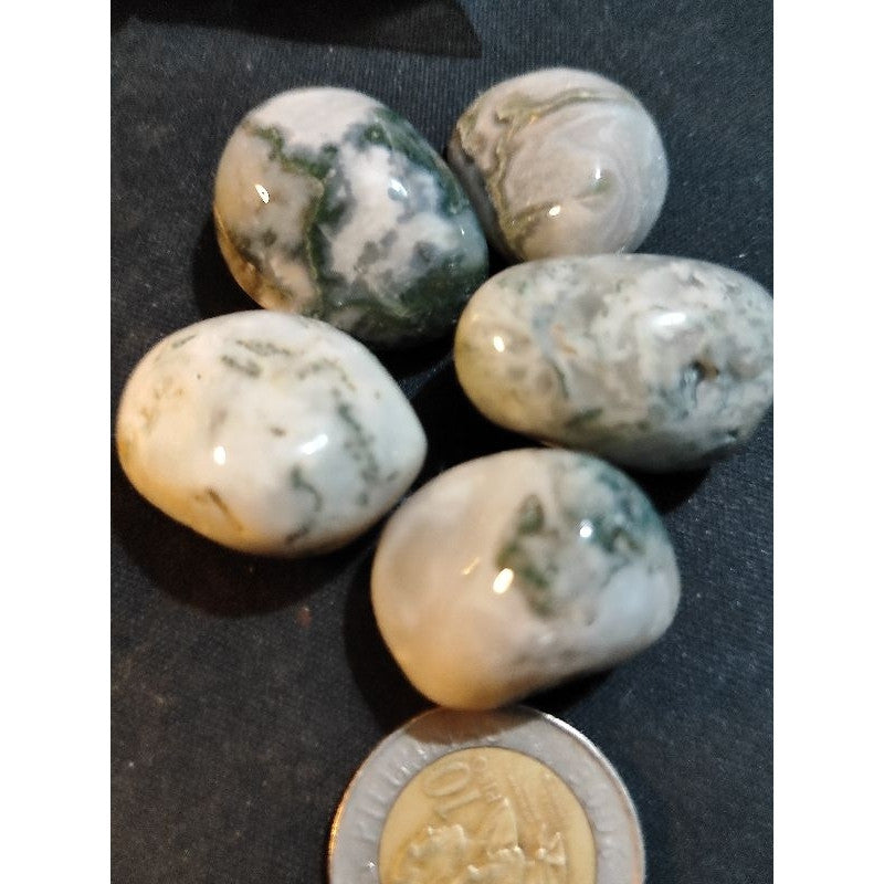 CHEFFY Tree Agate Crystal Gemstone ( Large )