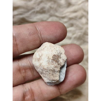 Natural Angelite Raw Crystal (1.8cm)