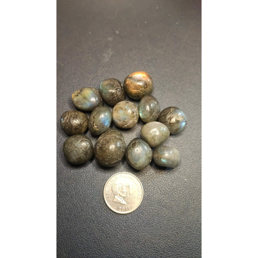 CHEFFY Labradorite Tumbled  Crystal Gemstones (M)
