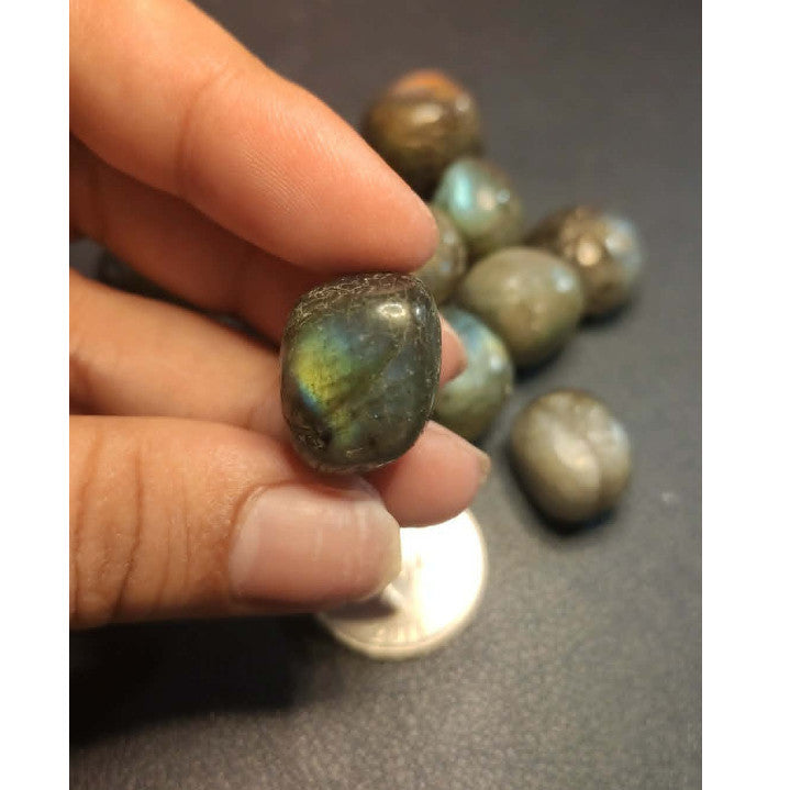CHEFFY Labradorite Tumbled  Crystal Gemstones (M)