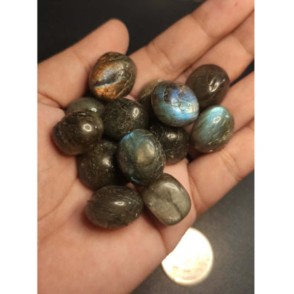 CHEFFY Labradorite Tumbled  Crystal Gemstones (M)