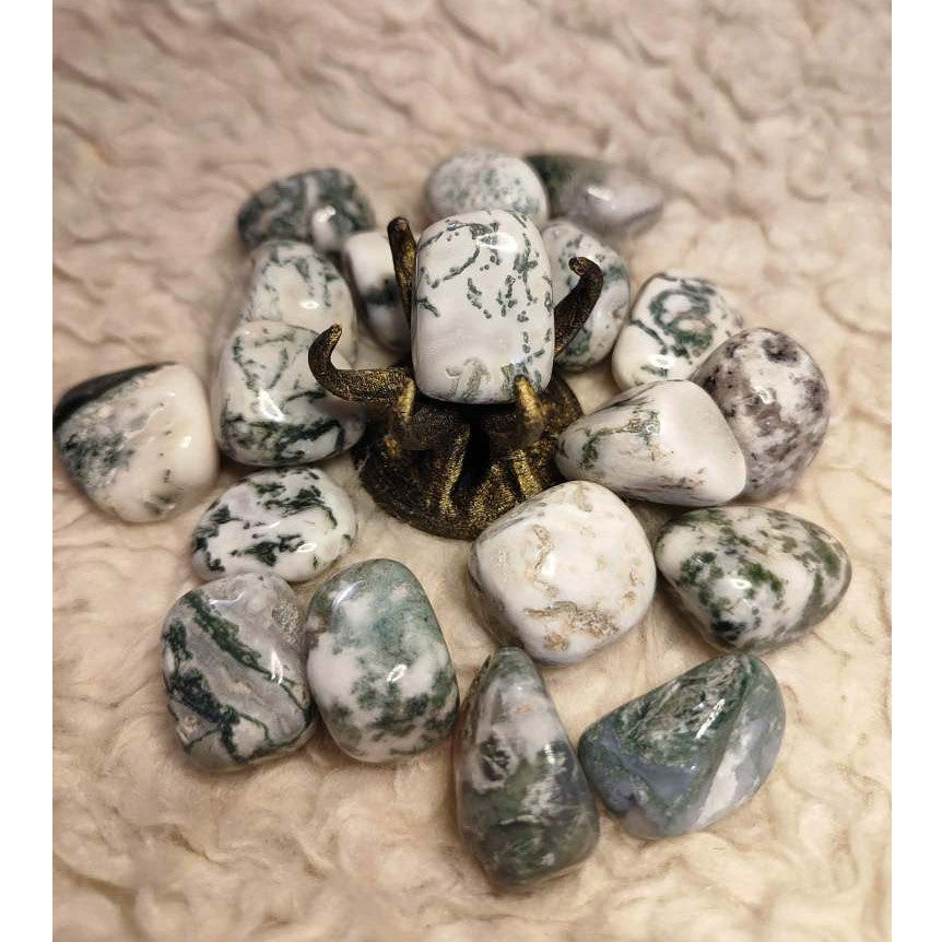 CHEFFY Tree Agate Crystal Gemstone ( MED )