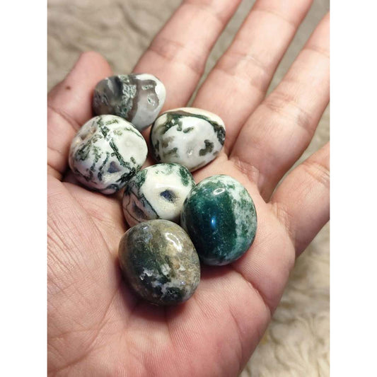 CHEFFY Tree Agate Crystal Gemstone ( Small )