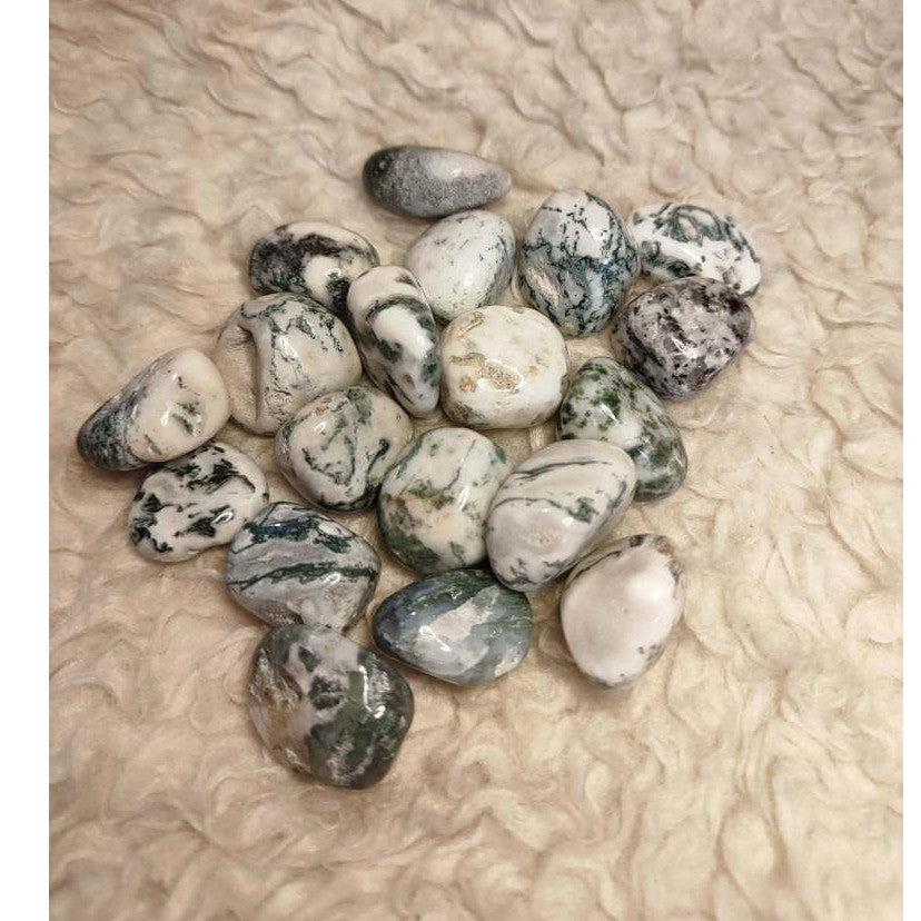 CHEFFY Tree Agate Crystal Gemstone ( MED )