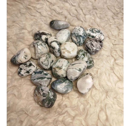 CHEFFY Tree Agate Crystal Gemstone ( MED )